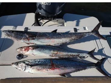 2025 Season is winding down...