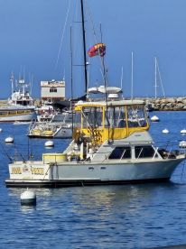 San Diego County Report Photo 1