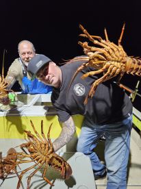 San Diego County Report Photo 3