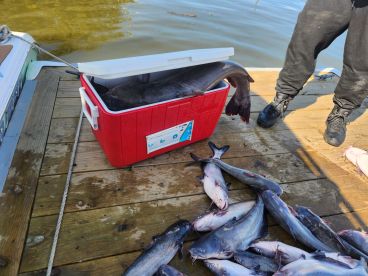 James River Report Photo 3