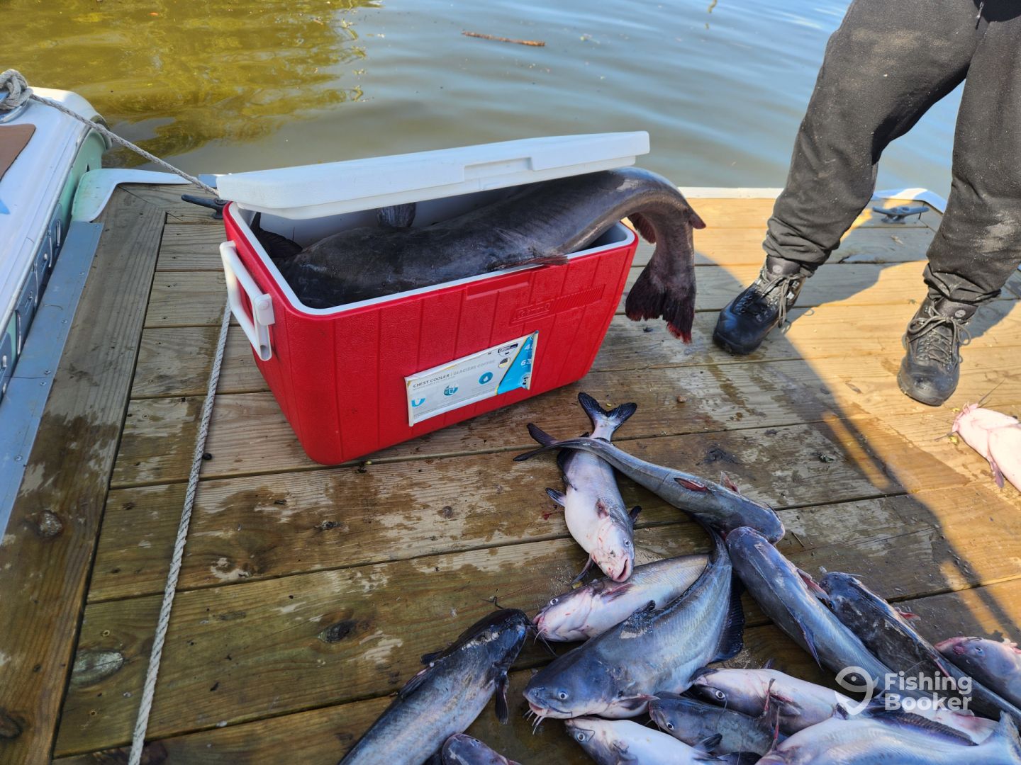 James River Report Photo 0