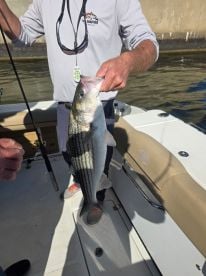 Fall Light tackle fishing