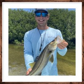 Nice looking snook