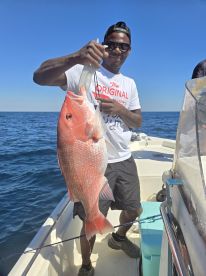 St. Marks Report Photo 3