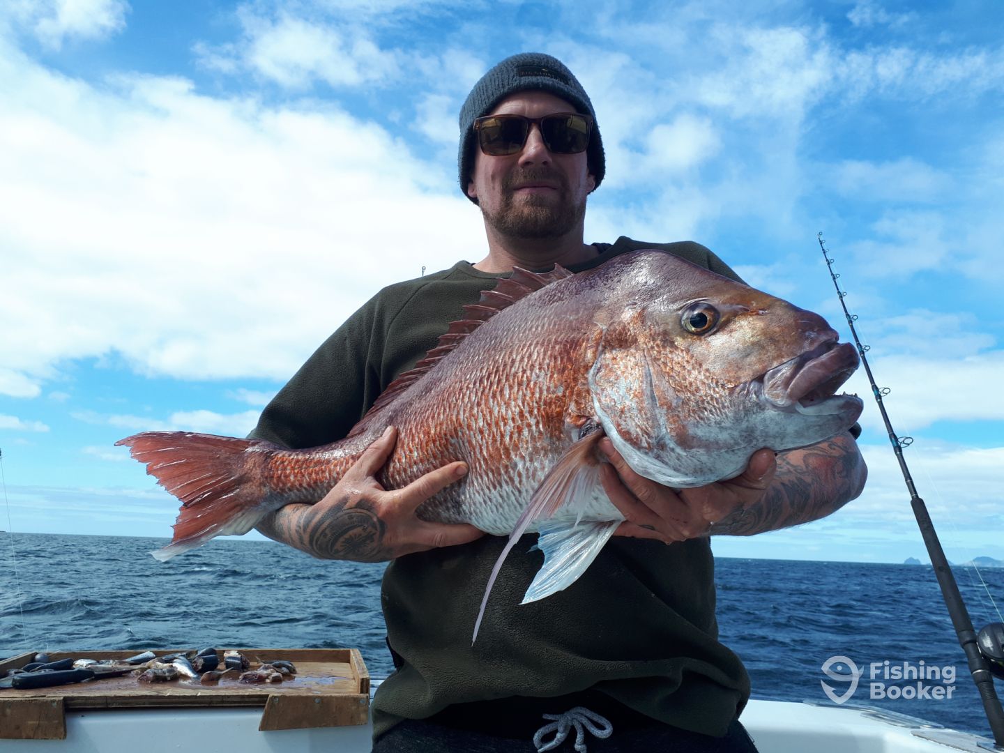 Paihia Report Photo 0