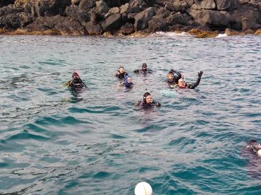 Narooma Report Photo 1