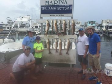 The bite is on!!!