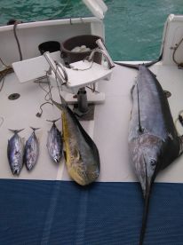Le Morne Report Photo 2