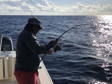 Puerto Aventuras Report Photo 1