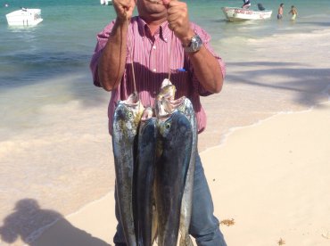 Heavy Dorados.