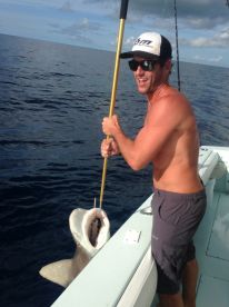 Shark Release