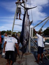 Blue Marlin ready for scale !