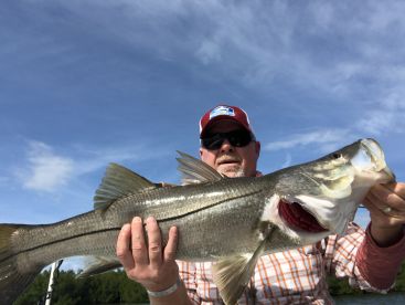 Nokomis Report Photo 1