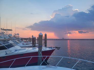 RED SNAPPER trip