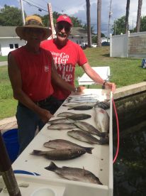 Crystal River Report Photo 1