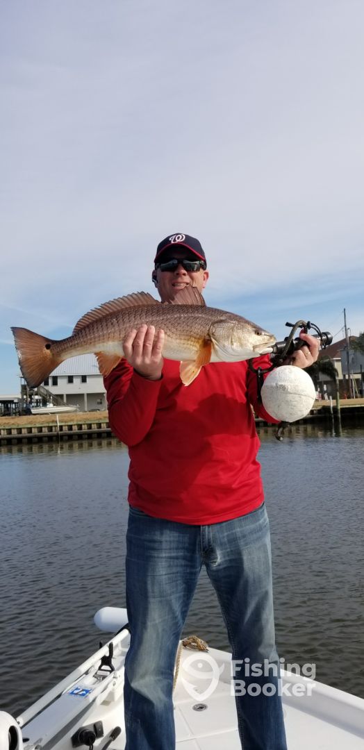 Port Sulphur Report Photo 0