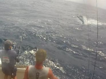 Port Stephens Report Photo 1