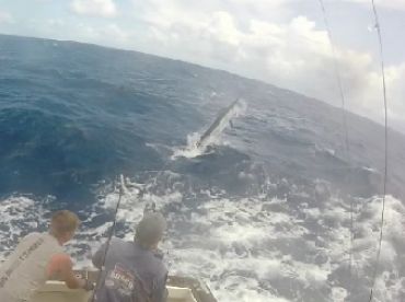 Port Stephens Report Photo 2