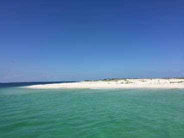 Pensacola Report Photo 1