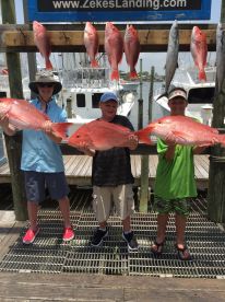 Orange Beach Report Photo 1