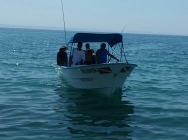 La Paz Report Photo 1