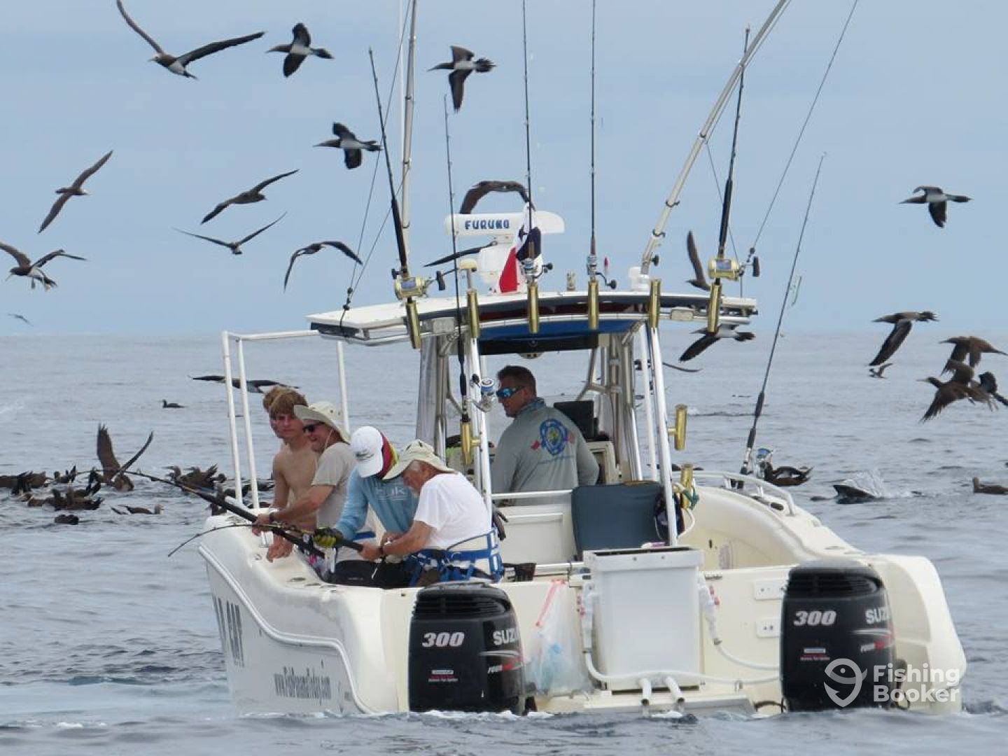 Boca Chica Report Photo 0