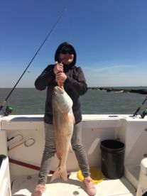 Galveston Report Photo 2