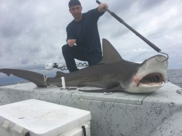Pensacola Beach Report Photo 2