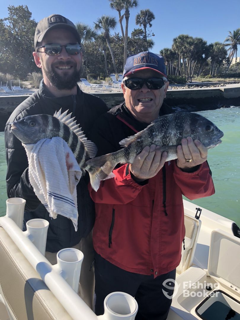Fishing is really good Sarasota Fishing Report