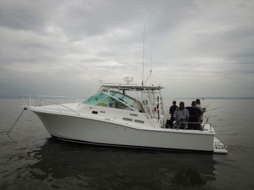 Sturgeon Fishing