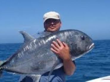 Airlie Beach Report Photo 1