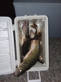 Vermilion Report Photo 2