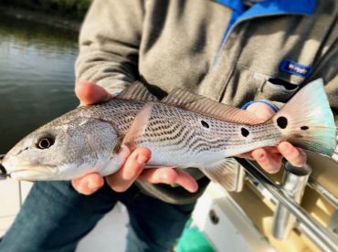 April Fishing Report