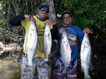 Gamboa Report Photo 2