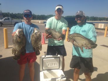 Biloxi Report Photo 1