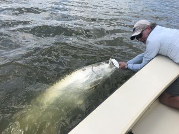 Blind casting pays off
