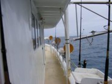 plenty of room along to fish