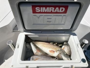 Mount Pleasant Report Photo 1