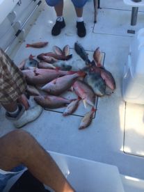 Fort Pierce Report Photo 2