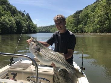 Ellijay Report Photo 3