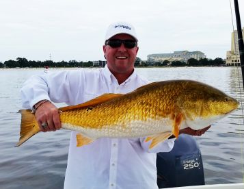 Gulfport Report Photo 2