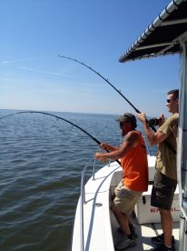 Gulfport Report Photo 1