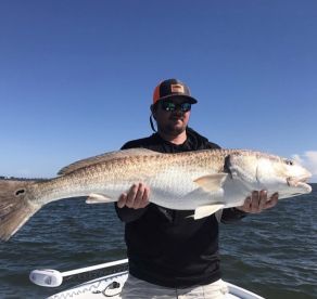 Isle Of Palms Report Photo 1
