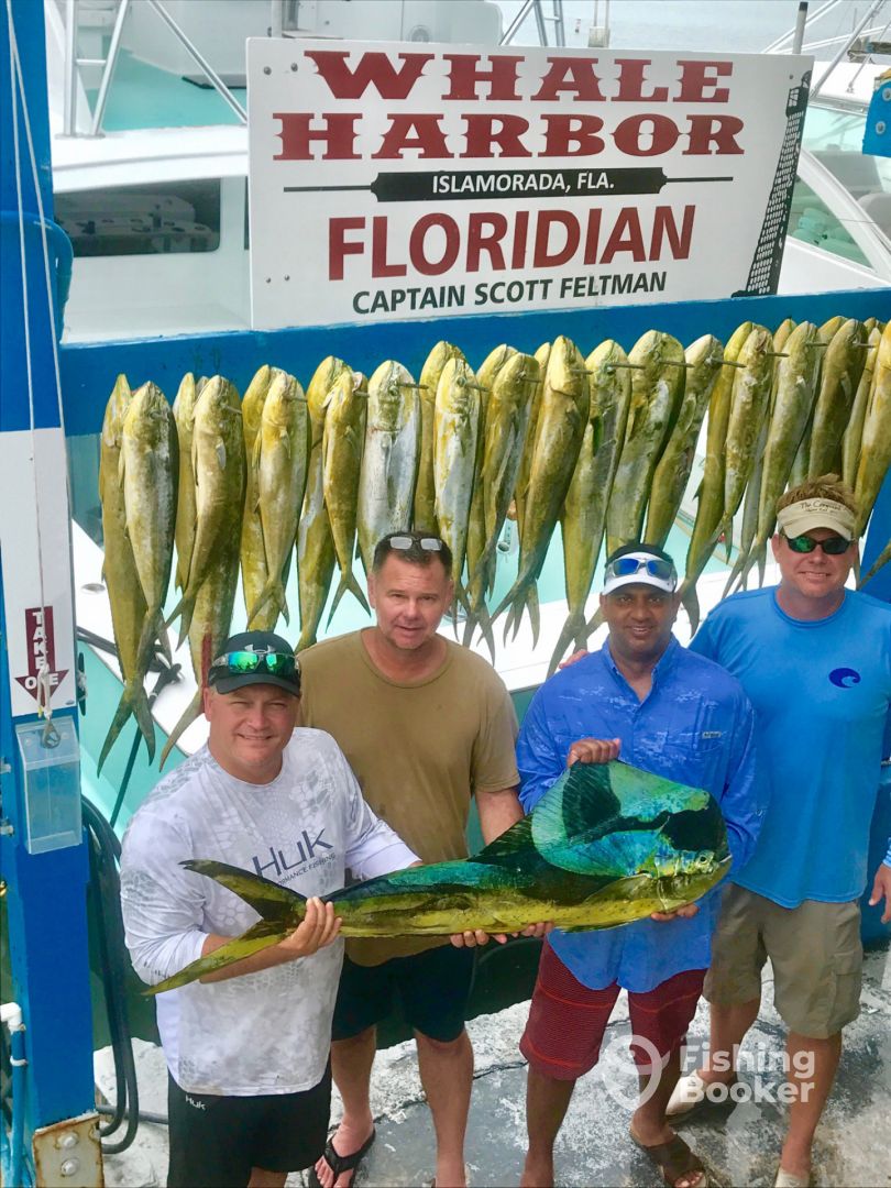 Islamorada Report Photo 0