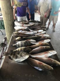 St. Bernard Report Photo 1