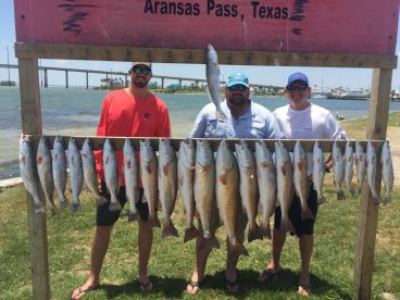 Aransas Pass Report Photo 2