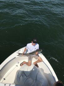 Virginia Beach Report Photo 1