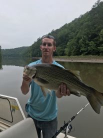 Ellijay Report Photo 1