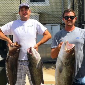 Limit of Groupers