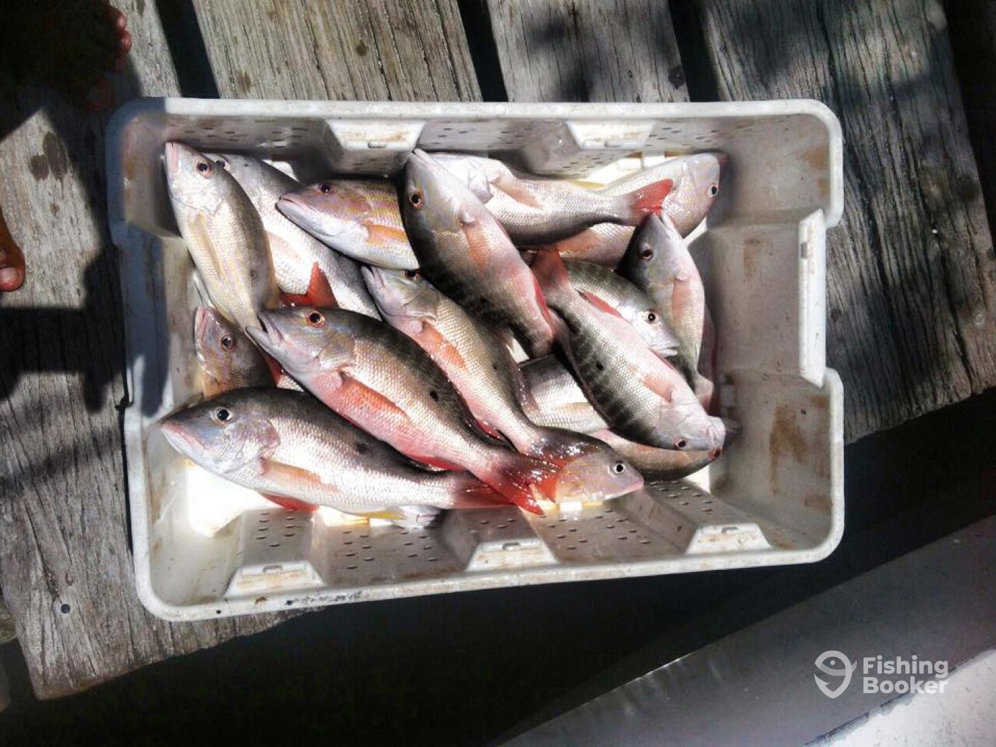 Caye Caulker Report Photo 0